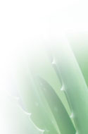 Presenting the perfect blend of Ayurveda and modern technology..
